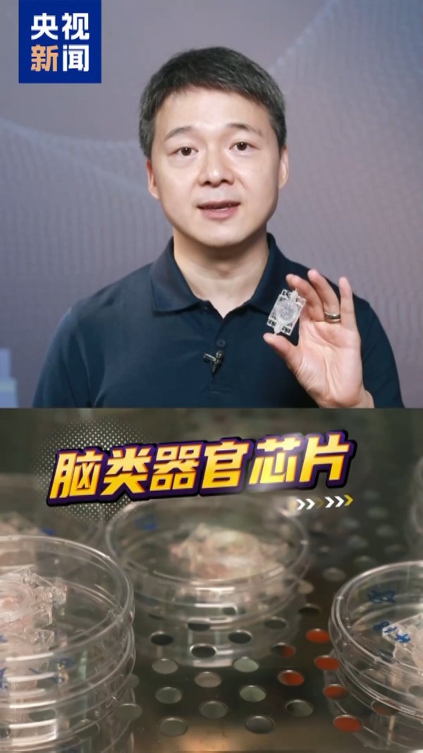 盈通配资 全释硬科技丨送“大脑”上太空 天舟九号实现《三体》虚构场景